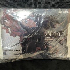値下げしました！¥25,000→¥15,000東京マルイ製 ガンゲイルオンライン AM45 ﾋﾟﾄﾌｰｲの画像