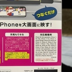 2スト専用混合燃料【FLASH Z】の画像