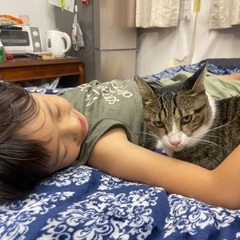 幸せ満開！コロくん　2歳半〜3歳 − 埼玉県