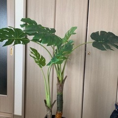 モンステラ　造花