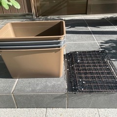 メダカ飼育ケース　ダイソーの画像