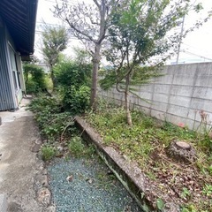 業界最安値‼️1㎡150円で草刈りを行います！ - 生活トラブル