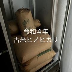 令和4年 古米 ヒノヒカリ 30kg 在庫ひと袋