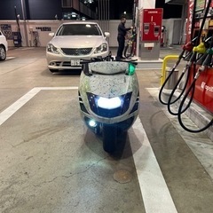 マグザム フルカス の画像