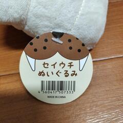 セイウチ☆ぬいぐるみの画像