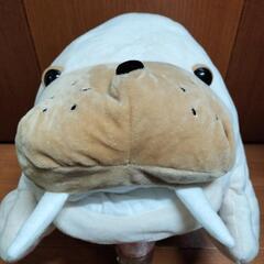 セイウチ☆ぬいぐるみの画像