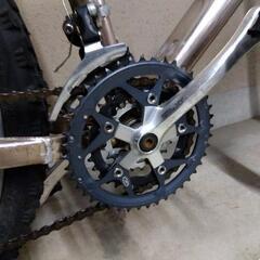 Crestone Peak VO2 MAX extemeの画像