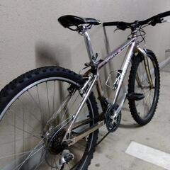 Crestone Peak VO2 MAX extemeの画像