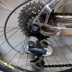 Crestone Peak VO2 MAX extemeの画像