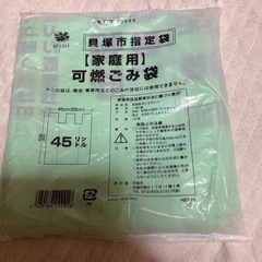 
貝塚市 指定袋  45リットル  可燃ごみ袋  10枚入 新品