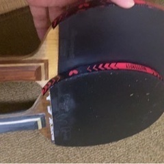初心者の相手をしてくれる方 - スポーツ