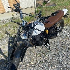 売り切り　FTR223