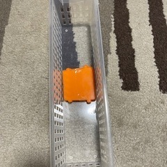 受け渡し者決定　募集停止　細長プラケース