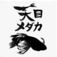 あじわいの朝大河原店収穫祭(天目メダカ佐賀マッスル店長参戦) - 展示会