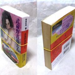 【文庫人気古本】南里征典「武蔵野薔薇夫人(第1刷)」・・・新婚旅行先で、夫の留守中に彼女は三人組の男に襲われる・・・の画像