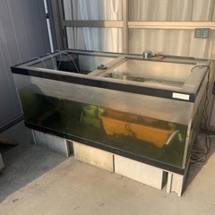 アクリル大型水槽　オーバーフロー型の画像