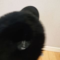 【Ampasand】ムートンブーツの画像