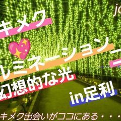 2023/11/11（土）17:00～【足利市】『2023 トキ...