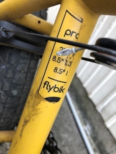 flybikes  proton