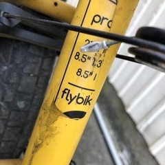 flybikes  protonの画像