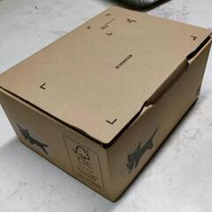 【訳あり品】10/11発送① 3kg シャインマスカット摘み落としの画像