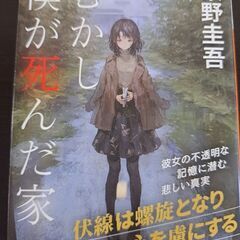 むかし僕が死んだ家　小説