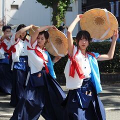 富山県呉西でよさこいをするなら！【メンバー募集中】