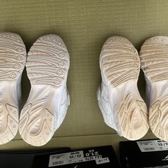 シュンソク　瞬足　しゅんそく　外ズック　レモンパイ　女の子　19cmと20cmの画像
