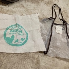 エコバッグとショルダーバッグ