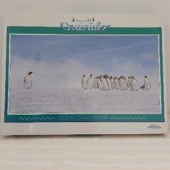 新品 ペンギン ジグソーパズル