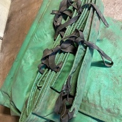 トラックシートの画像
