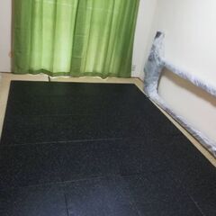 トレーニングルーム用ゴムチップマットの画像