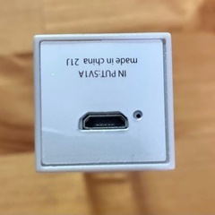 名前はわからないですがの画像