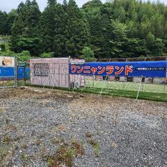 ボランティアさん募集です。