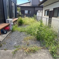 7/28.29✨草むしり✨いわき市内✨現金払いの画像
