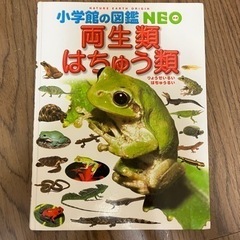 小学館の図鑑NEO 両生類・はちゅう類