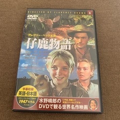 3本セットの画像