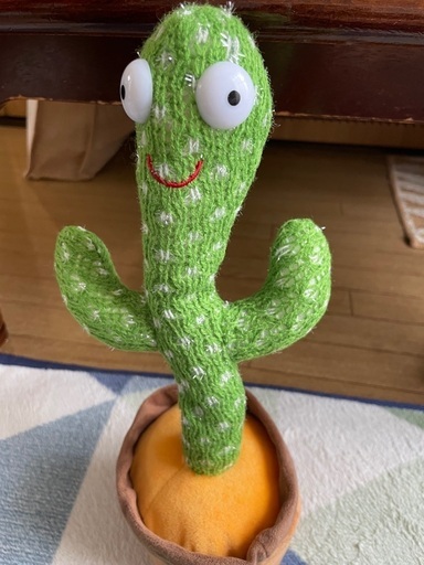 サボテンおもちゃ
