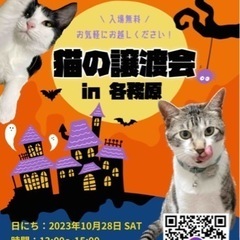 in各務原🐱猫の譲渡会🐱