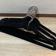 【お取引予定】フロッキーハンガー 15本セット