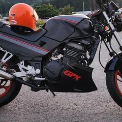 GPX250R ネイキッド仕様　の画像