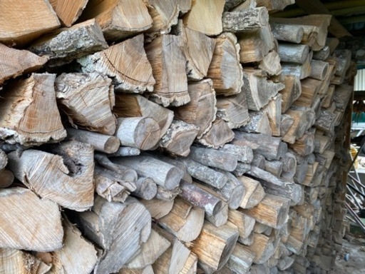乾燥済み薪