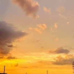 ウォーキング友達⸜🌷︎⸝‍