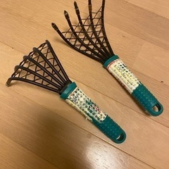 熊の手