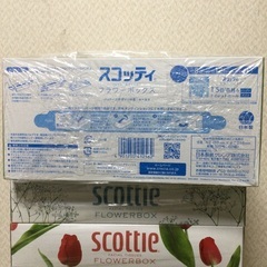 スコティ箱テイシュの画像