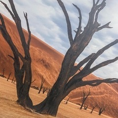 絵　絵画　アート　美術　飾り　インテリアの画像