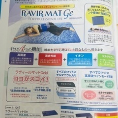ラヴィールマットGeの画像