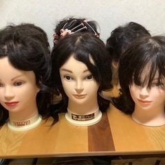 カットウィッグ　一体ずつ！