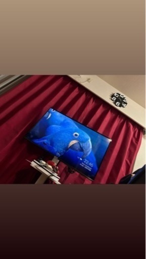 TCL テレビ　　明日までの購入なら25000円で売ります