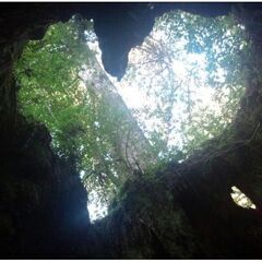 屋久島で鑑定・占いを体験してみませんか？ 